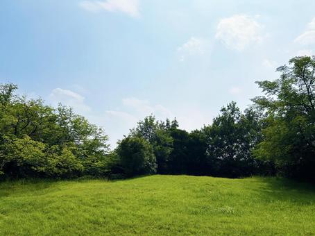 木々に囲まれた公園の広場と爽やかな青空の写真