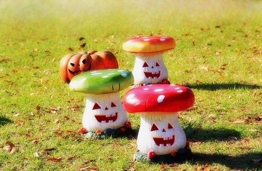 ハロウィン飾りエフェクト/とっとり花回廊 ハロウィン,ハロウィン飾り,秋の写真素材