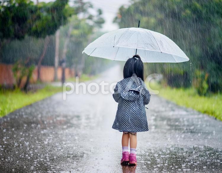 雨の日に傘をさして道路を歩く女の子 雨,女の子,子供の写真素材