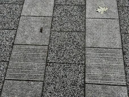 コンクリートの地面 コンクリートの地面の写真