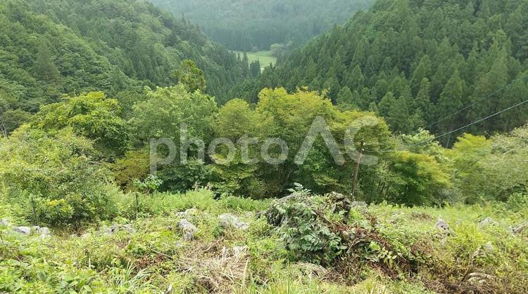 郡上の風景 山並み,自然,風景の写真素材