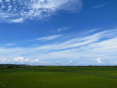 青空の広がる田園風景 青空の広がる田園風景の写真