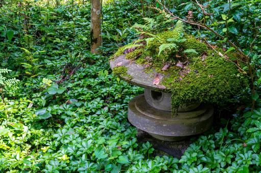 Photo, stone lantern, moss, retro, 