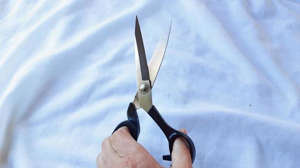 ハサミを手に取る・2 はさみ,切る,切断の写真素材