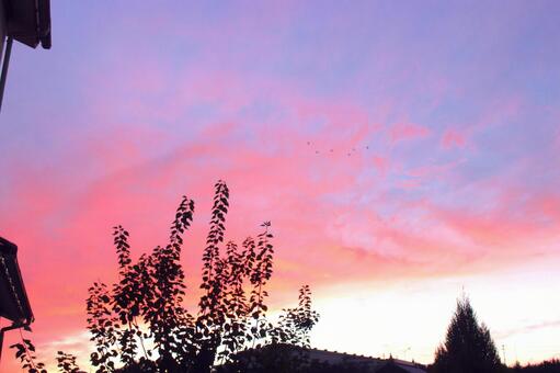 夕焼け空 夕焼け空 夕焼け,ゆうやけ,空の写真素材