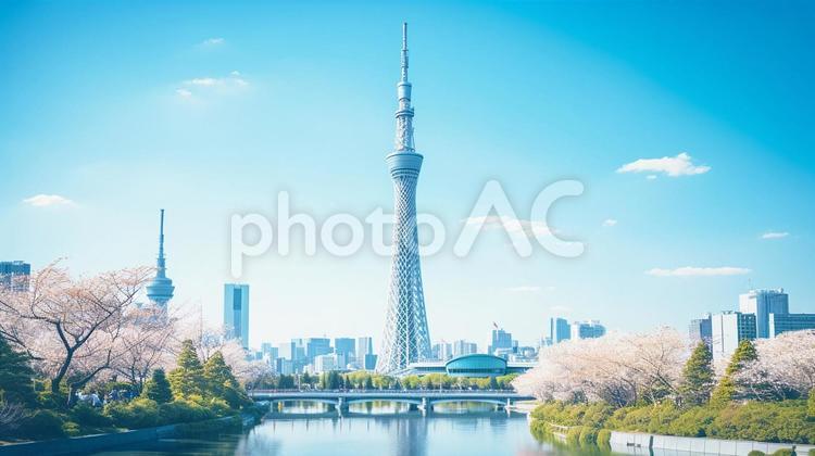 隅田川とスカイツリー 日本文化,スカイツリー,東京スカイツリーの写真素材