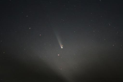 １１月９日のレモン彗星 レモン,彗星,ほうき星の写真素材