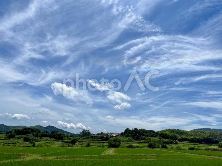 初夏の田園風景 淡路島,自然,空の写真素材