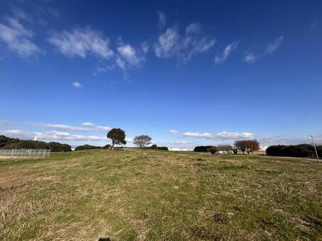 美しい芝生と青空の風景　大阪･堺浜 芝生,青空,堺浜の写真素材