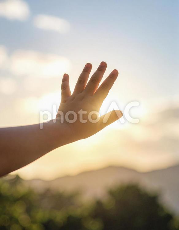 子ども 手のひらを太陽にすかしてみる 子ども,太陽,手のひらの写真素材