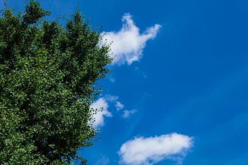 Blue sky, clouds and green 6, JPG