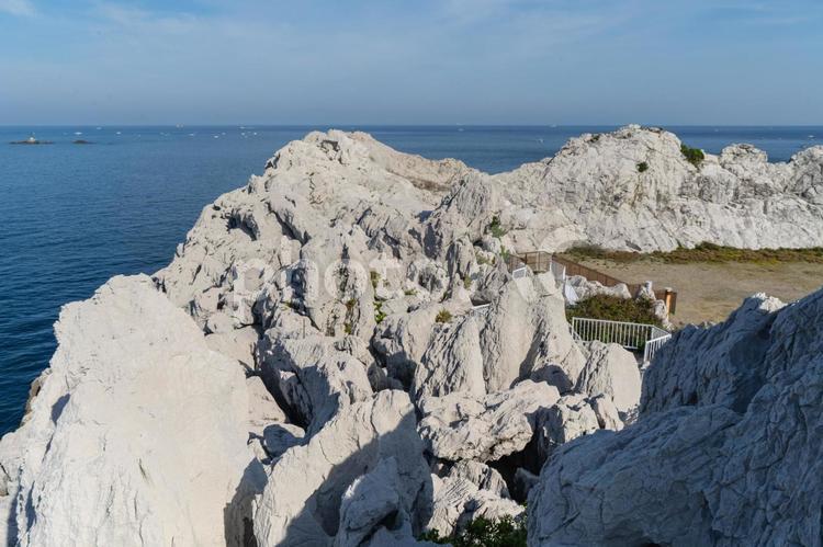 和歌山　白崎海岸 白崎海洋公園,白崎海岸,白崎の写真素材