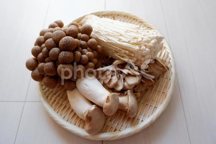 秋の味覚、きのこ類、キノコ食材 えのき,きのこ,きのこ類の写真素材