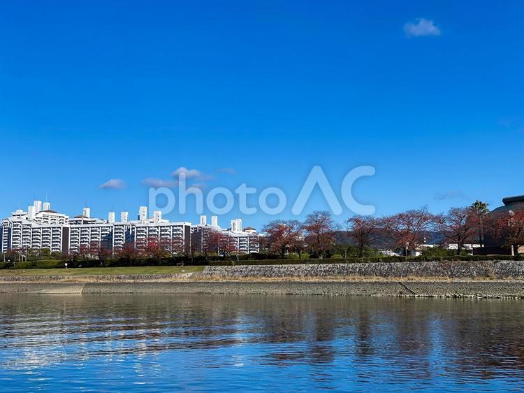 川辺の風景　〜広島県広島市〜 広島,観光,川の写真素材