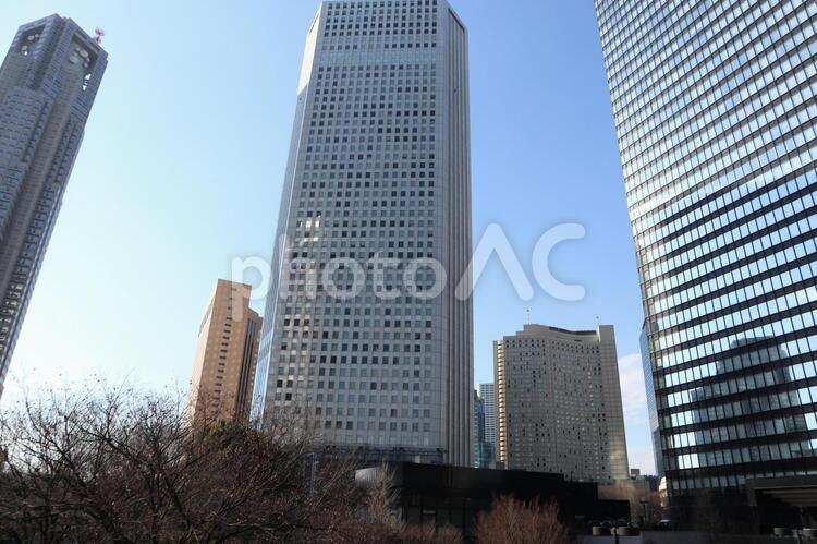 新宿　街並み ビル群,新宿,街並みの写真素材