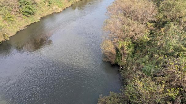 川の流れる風景の写真
