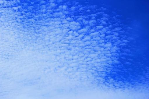 鱗雲 鱗雲,うろこ,巻積雲の写真素材