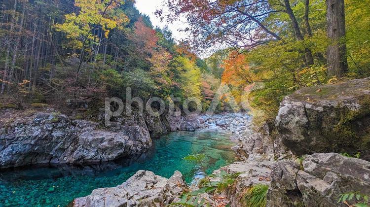 碧い川と秋模様 川,秋,景色の写真素材