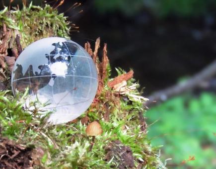 エコイメージ-ガラスの地球儀と朽ちた幹 エコイメージ-ガラスの地球儀と朽ちた幹 地球,地球儀,エコの写真素材