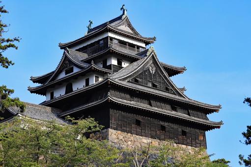 現存天守松江城27 現存天守松江城27 松江城,現存天守,お城の写真素材
