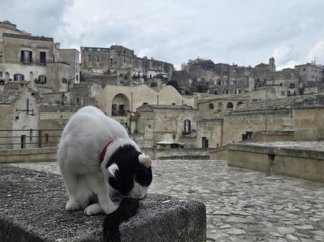 イタリア旅行　マテーラの写真