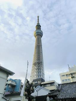 スカイツリーと曇り空 スカイツリー,タワー,シンボルの写真素材