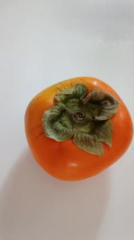 秋の味覚・カキの実の写真