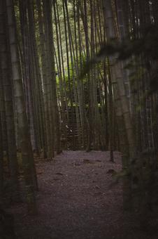 圓光寺の日本庭園 圓光寺の日本庭園の写真