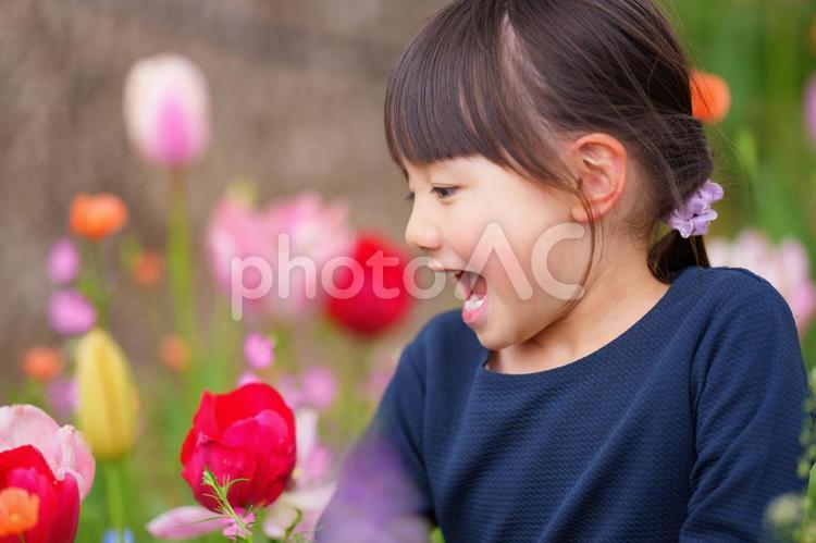 花畑にいる女の子の横顔 女の子,小学生,子どもの写真素材