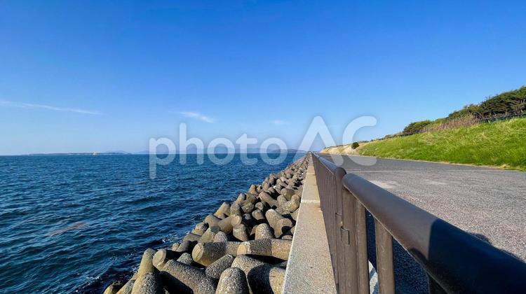 海風そよぐ響灘北緑地公園 響灘北緑地公園,公園,北九州市の写真素材