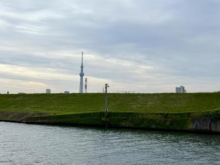 堀切水辺公園 荒川越しのスカイツリー 堀切水辺公園 荒川越しのスカイツリーの写真