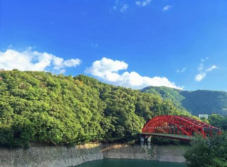 夏の森の表情 夏の森の表情 橋,風景,山の写真素材