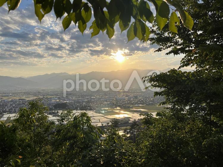 夕焼けと水田 夕焼け,水田,夕日の写真素材