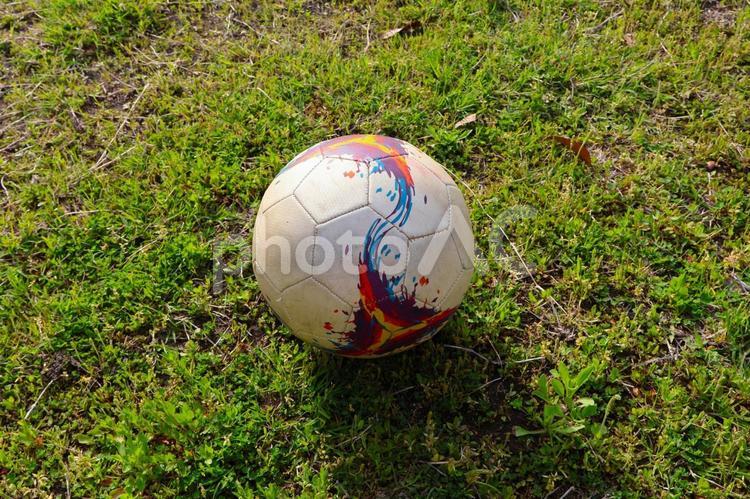 公園の芝生の上の「サッカーボール」 サッカーボール,芝生,公園の写真素材
