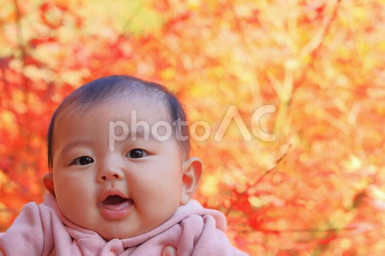 秋の紅葉と赤ちゃん 赤ちゃん,秋,紅葉の写真素材