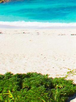 沖縄・背景の写真