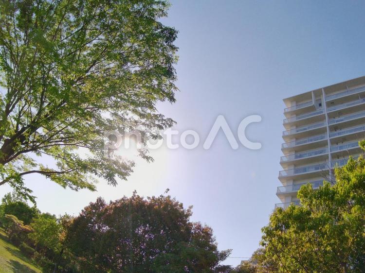 住みたいけど固定資産税が気になるタワマン 青空,マンション,高層マンションの写真素材