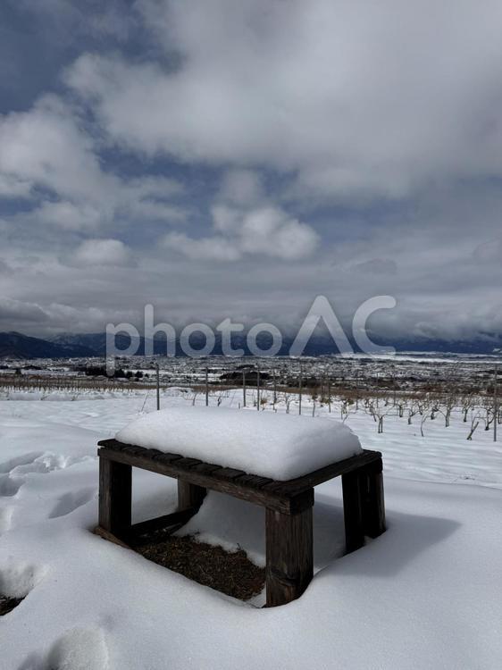 雪が積もった椅子とぶどう畑 雪,snow,whiteの写真素材