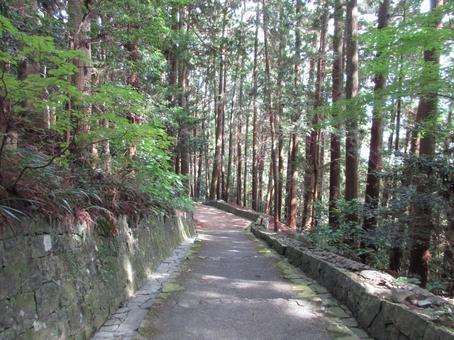 徳島県-箸蔵寺-参道 徳島県-箸蔵寺-参道の写真