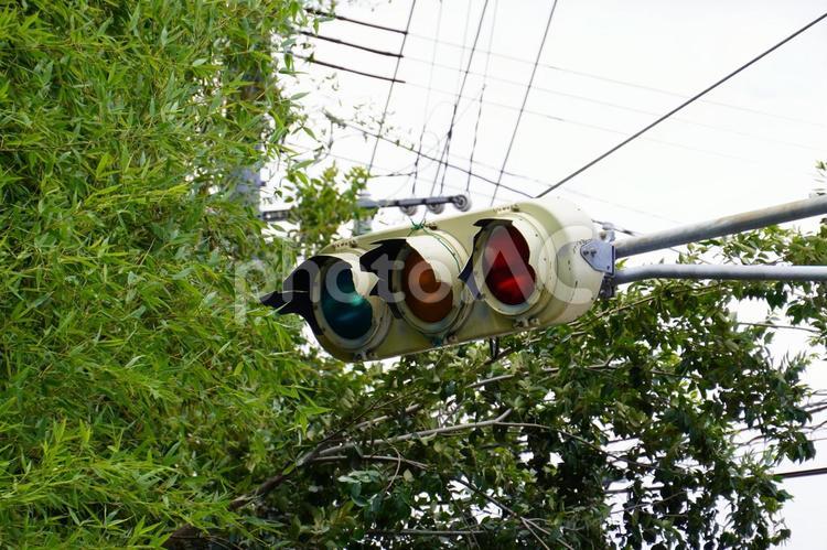 破損した信号機 信号,電球式,空の写真素材