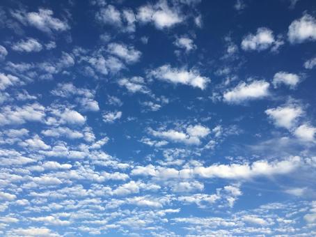 うろこ雲 うろこ雲の写真