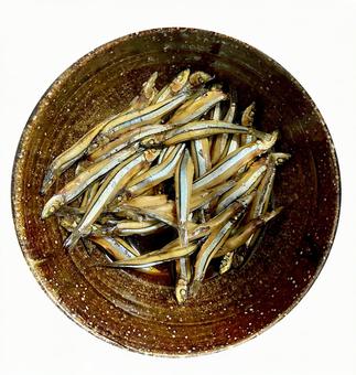 きびなごの煮物　大皿 きびなご,魚,小魚の写真素材
