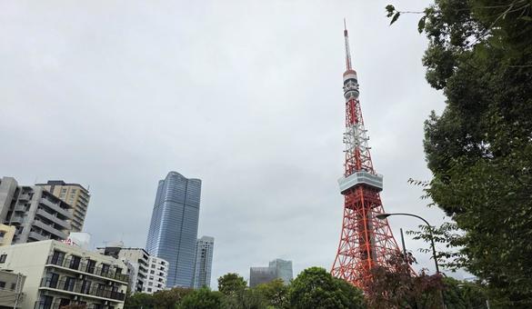 風景　東京　東京タワー 風景,街並み,東京の写真素材