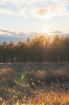 ビーナスラインの秋 ビーナスライン,長野県,車山高原の写真素材