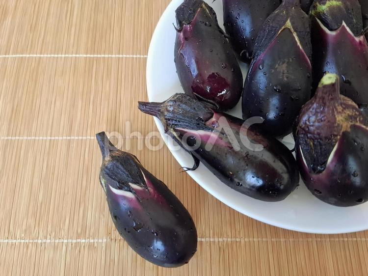 採れたて茄子_4 夏野菜,野菜,茄子の写真素材
