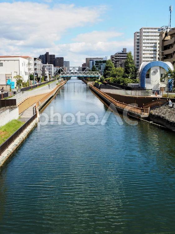初秋のクローバー橋から見る街並み・江東区 初秋,小名木川,クローバー橋の写真素材