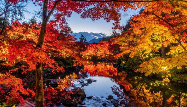 秋の紅葉が美しい日本庭園の写真