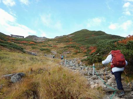 仙丈ヶ岳の登山者 登山,山,南アルプスの写真素材