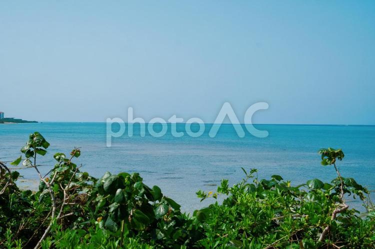 沖縄県　残波岬　晴天788 沖縄県,大パノラマ,有料の写真素材