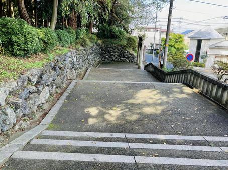 駒形神社 参道 駒形神社 参道 駒形神社,岩手県奥州市,陸中国一宮の写真素材